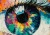 oog