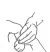 Schouderoefening B3